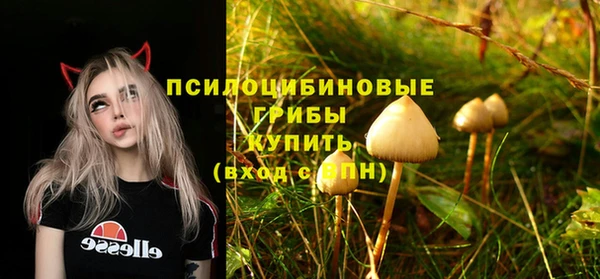 jwh Алзамай