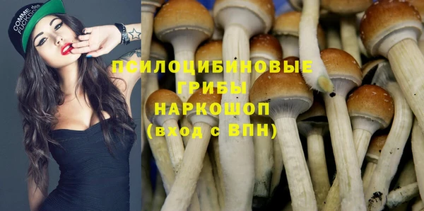 соль ск Алексеевка