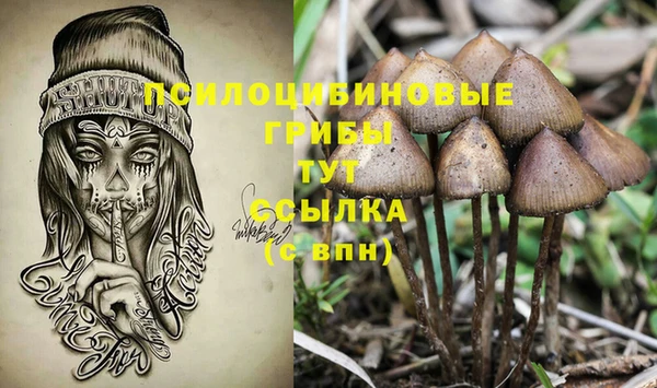 apvp Абаза