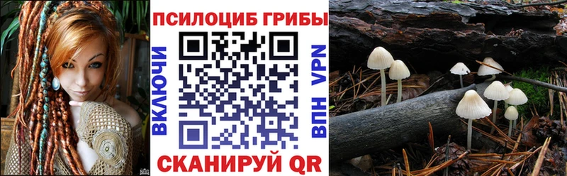 Галлюциногенные грибы Psilocybe  Оса 